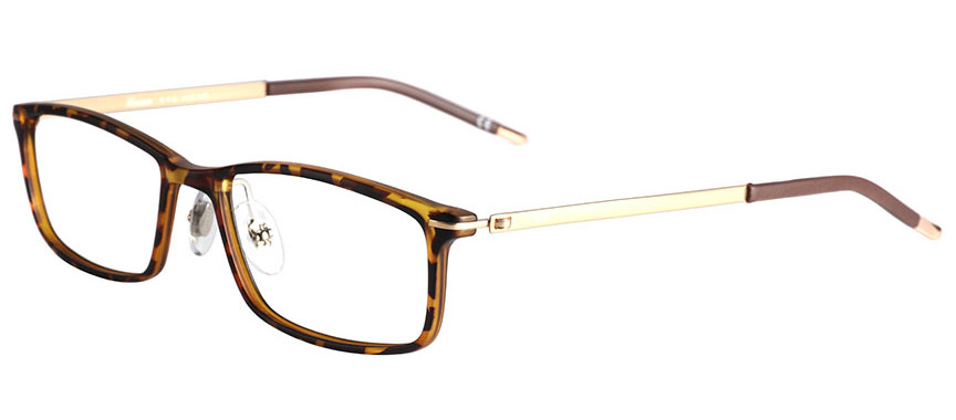 tortoiseshell rectangle glasses