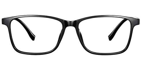 Optically F2173 4.jpg