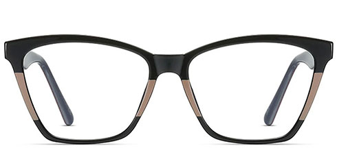 Optically F5101 6.jpg